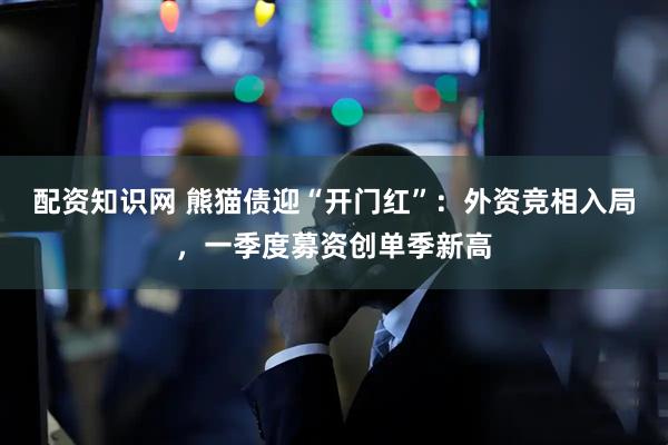 配资知识网 熊猫债迎“开门红”：外资竞相入局，一季度募资创单季新高