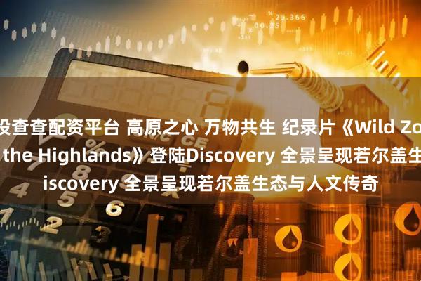投查查配资平台 高原之心 万物共生 纪录片《Wild Zoige: Heart of the Highlands》登陆Discovery 全景呈现若尔盖生态与人文传奇